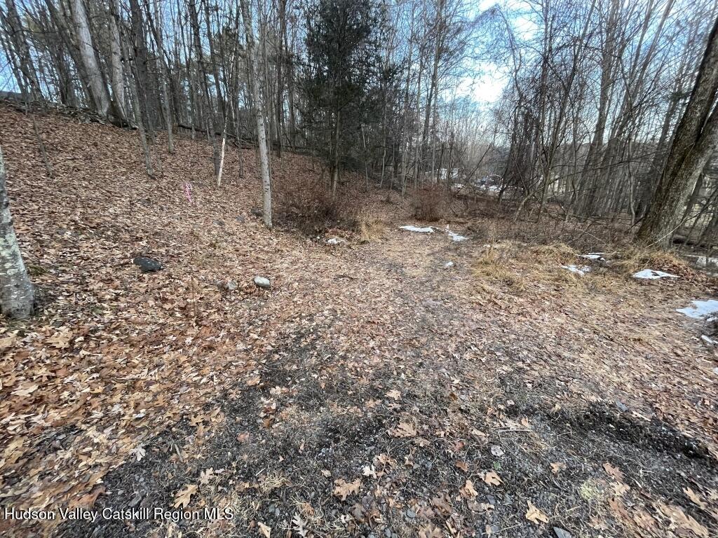 34 Iken Road Kerhonkson, NY 12446 - Photo 2 of 6 a view of a forest with trees in the background