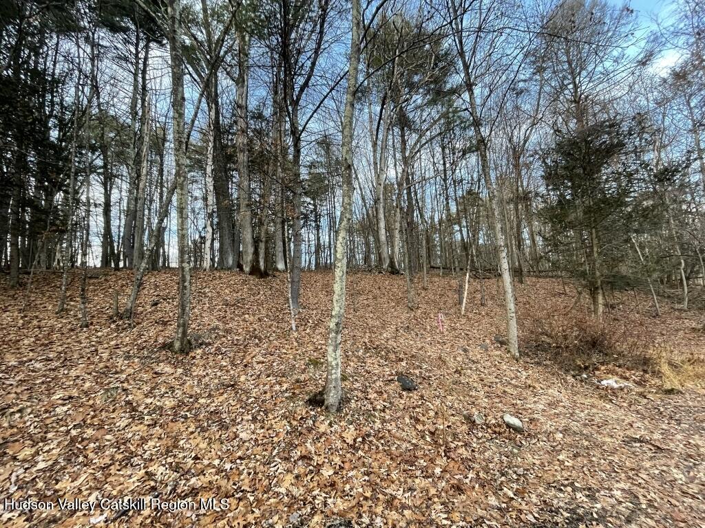 34 Iken Road Kerhonkson, NY 12446 - Photo 5 of 6 a view of outdoor space with trees