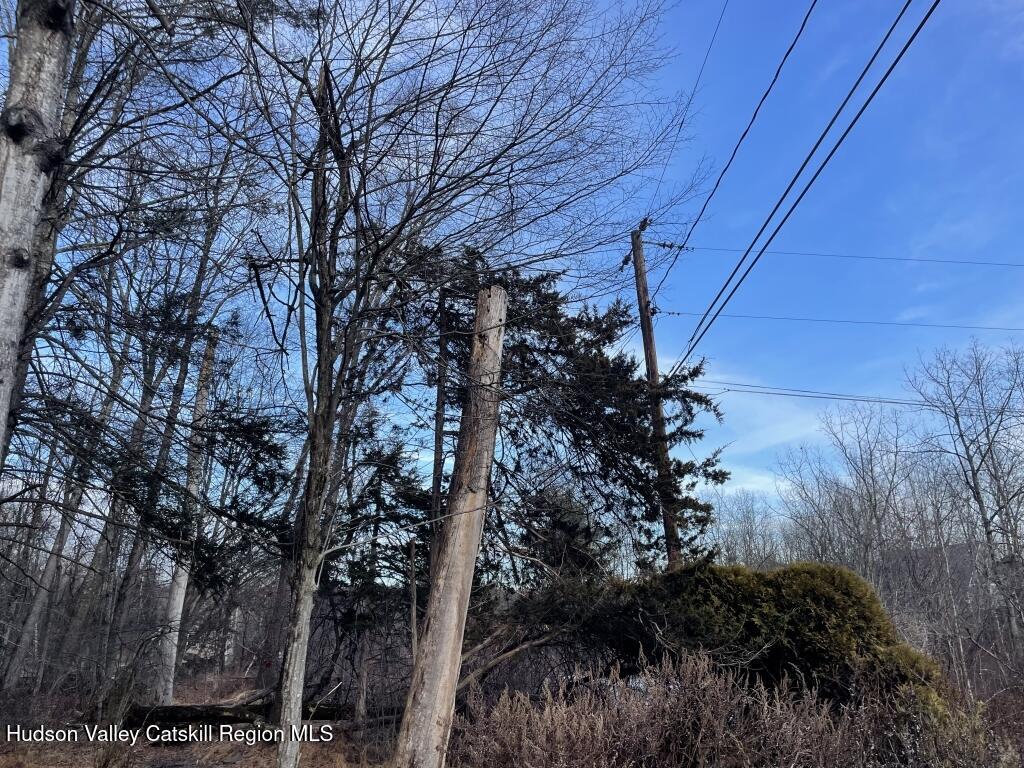 34 Iken Road Kerhonkson, NY 12446 - Photo 6 of 6 a view of a tree in a yard