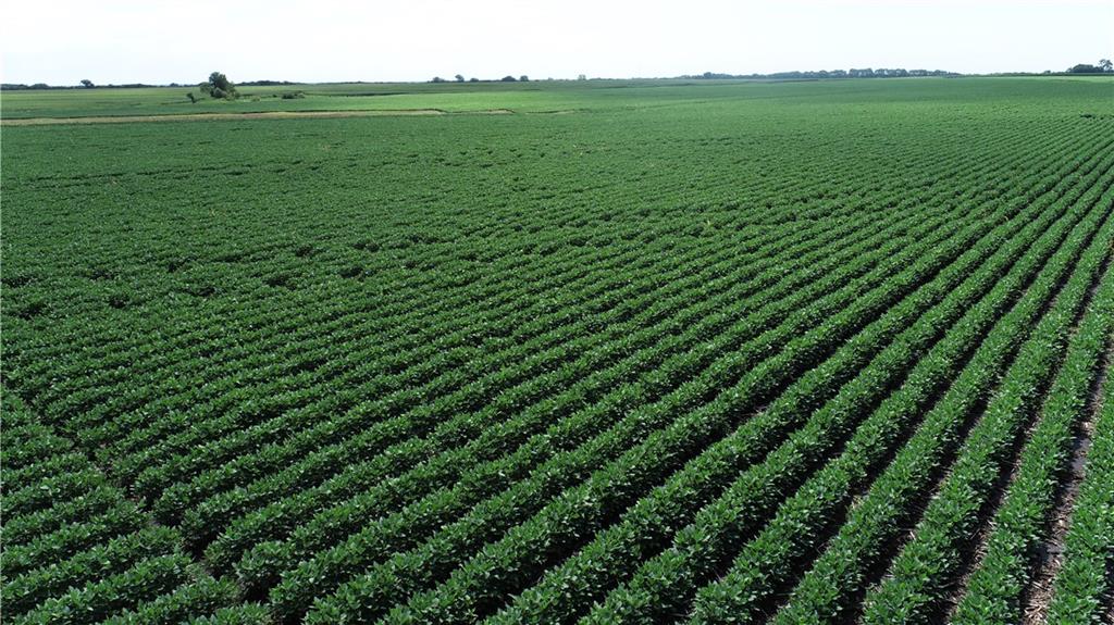 1 Mooney Creek Road Winchester, KS 66097 - Photo 25 of 25 Gallery Image 25