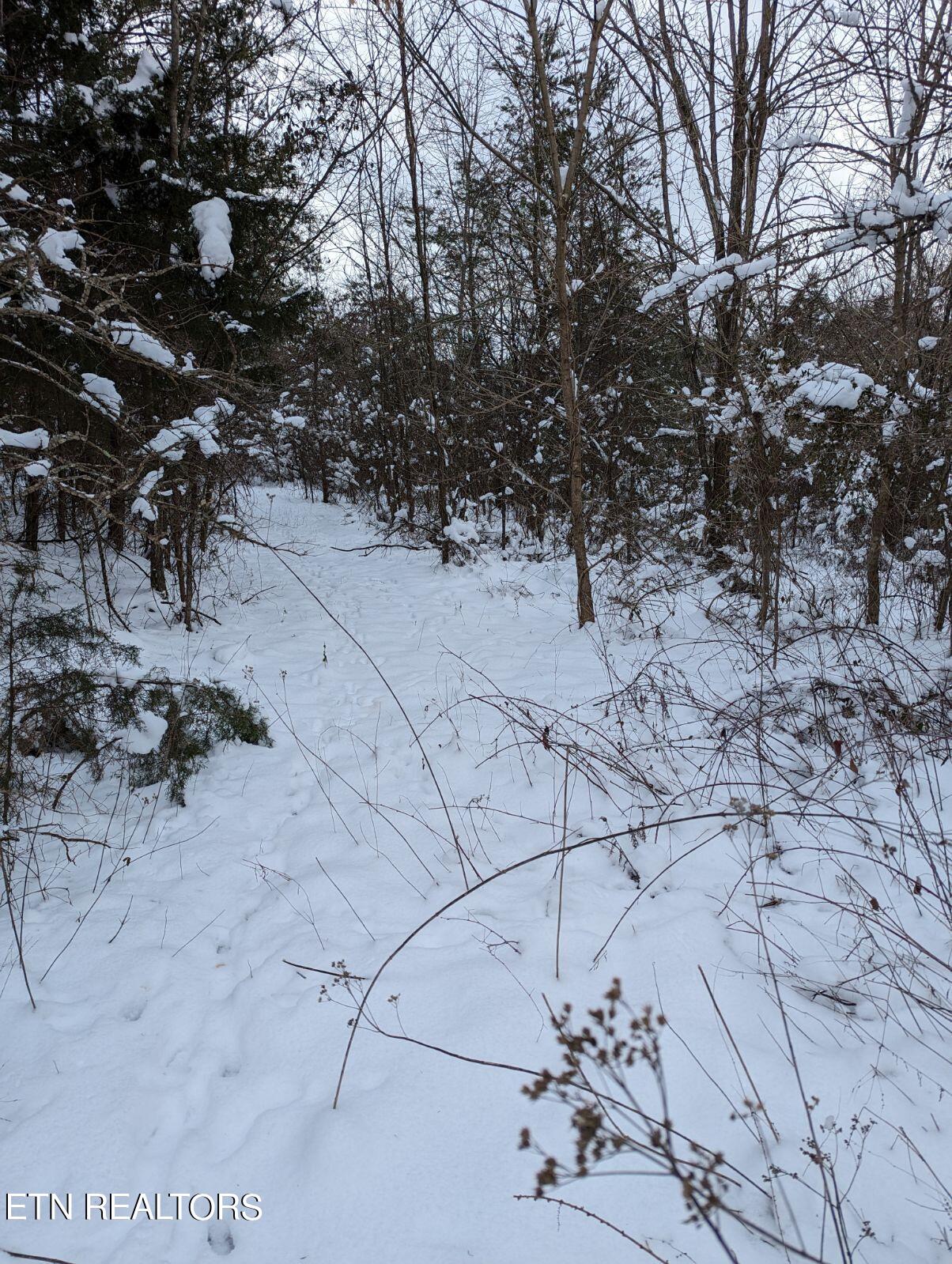 Kicking True Way Bean Station, TN 37708 - Photo 11 of 13 IMG_20240121_183310