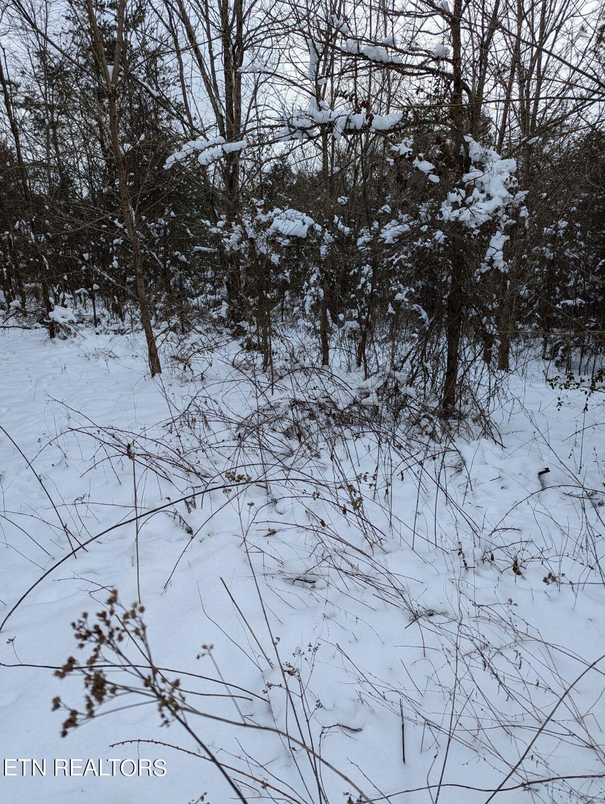 Kicking True Way Bean Station, TN 37708 - Photo 12 of 13 IMG_20240121_183303