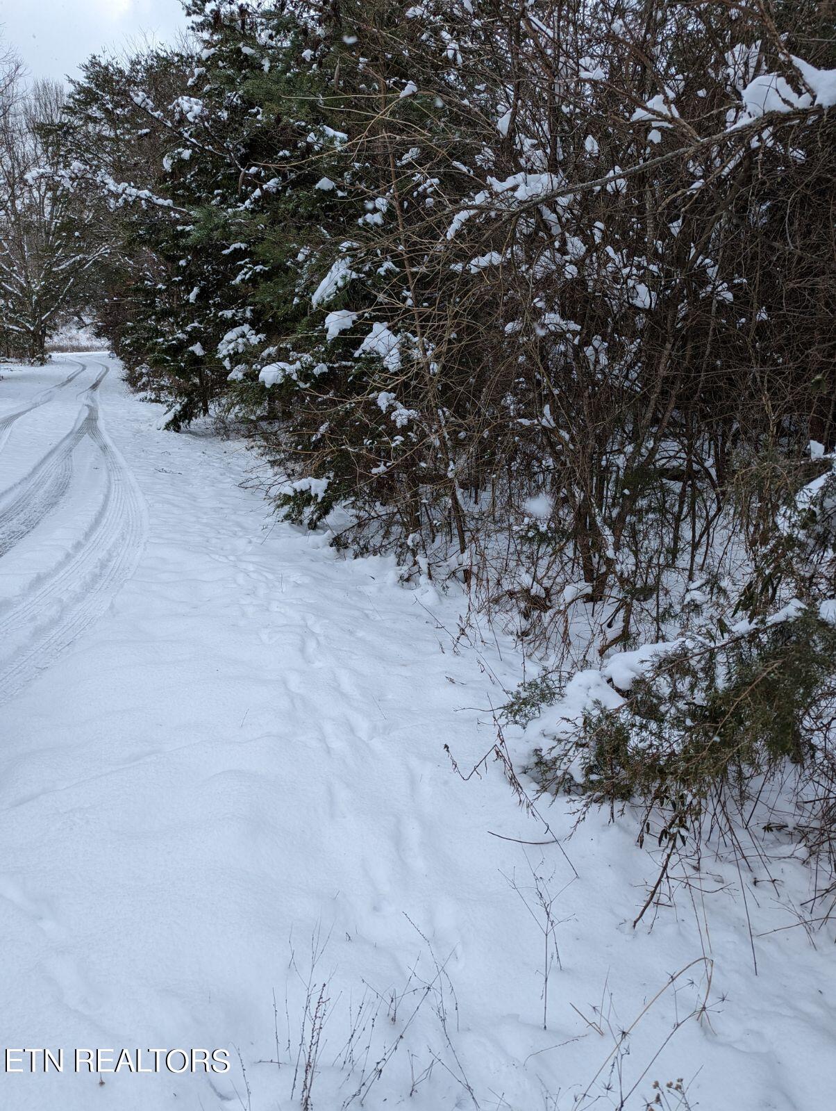 Kicking True Way Bean Station, TN 37708 - Photo 13 of 13 IMG_20240121_183254