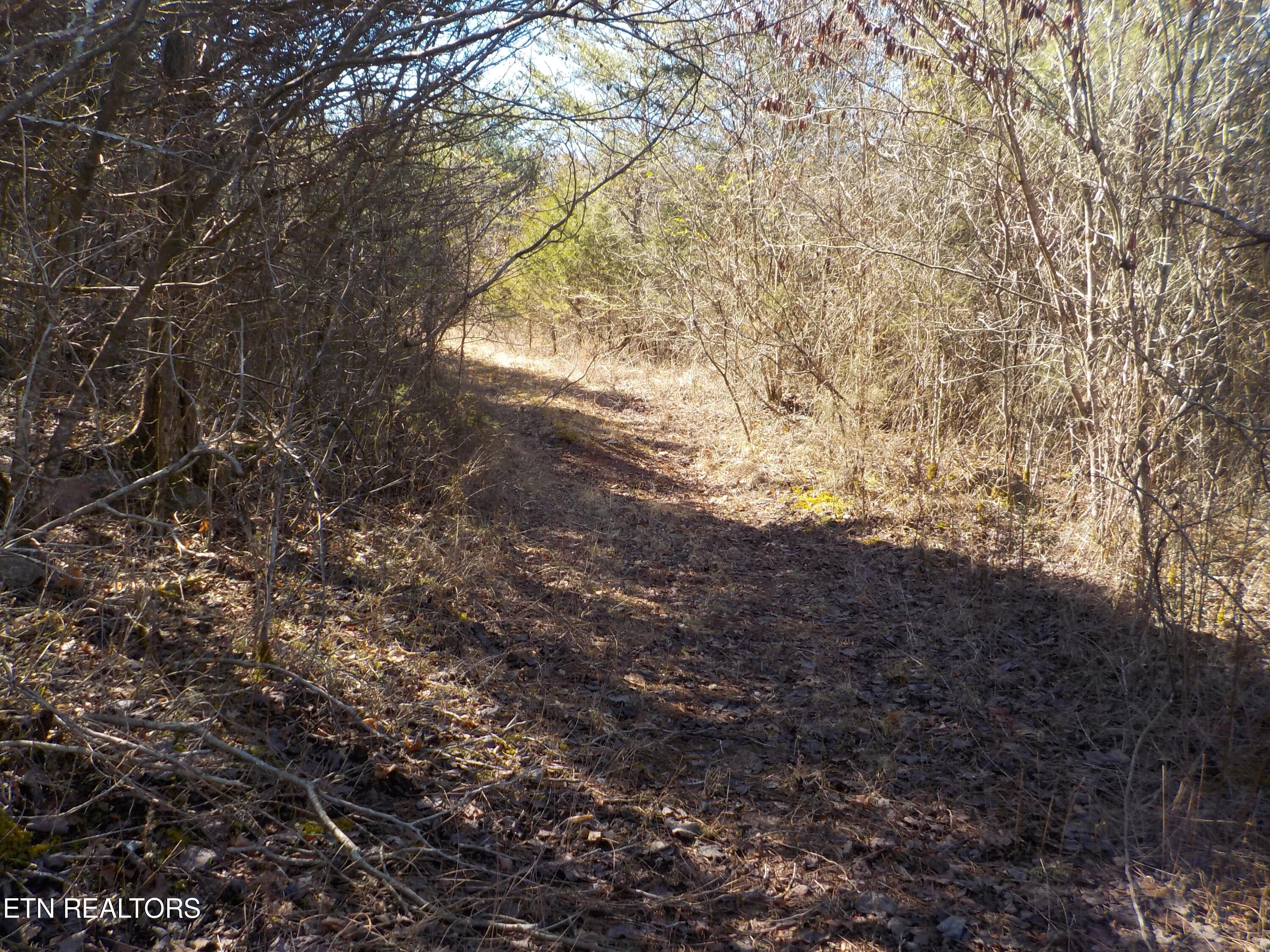 Kicking True Way Bean Station, TN 37708 - Photo 2 of 13 DSCN3194