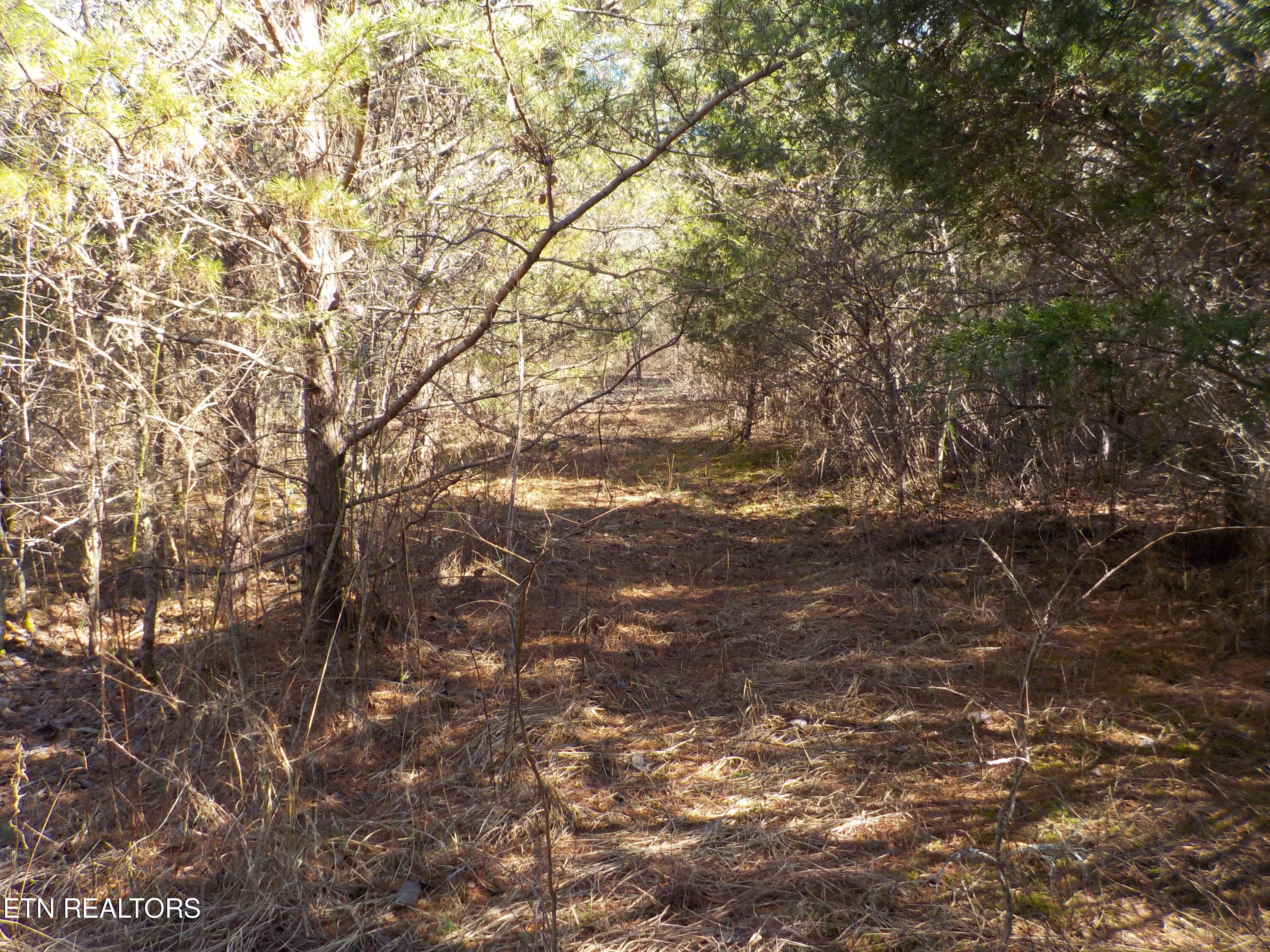 Kicking True Way Bean Station, TN 37708 - Photo 4 of 13 DSCN3198