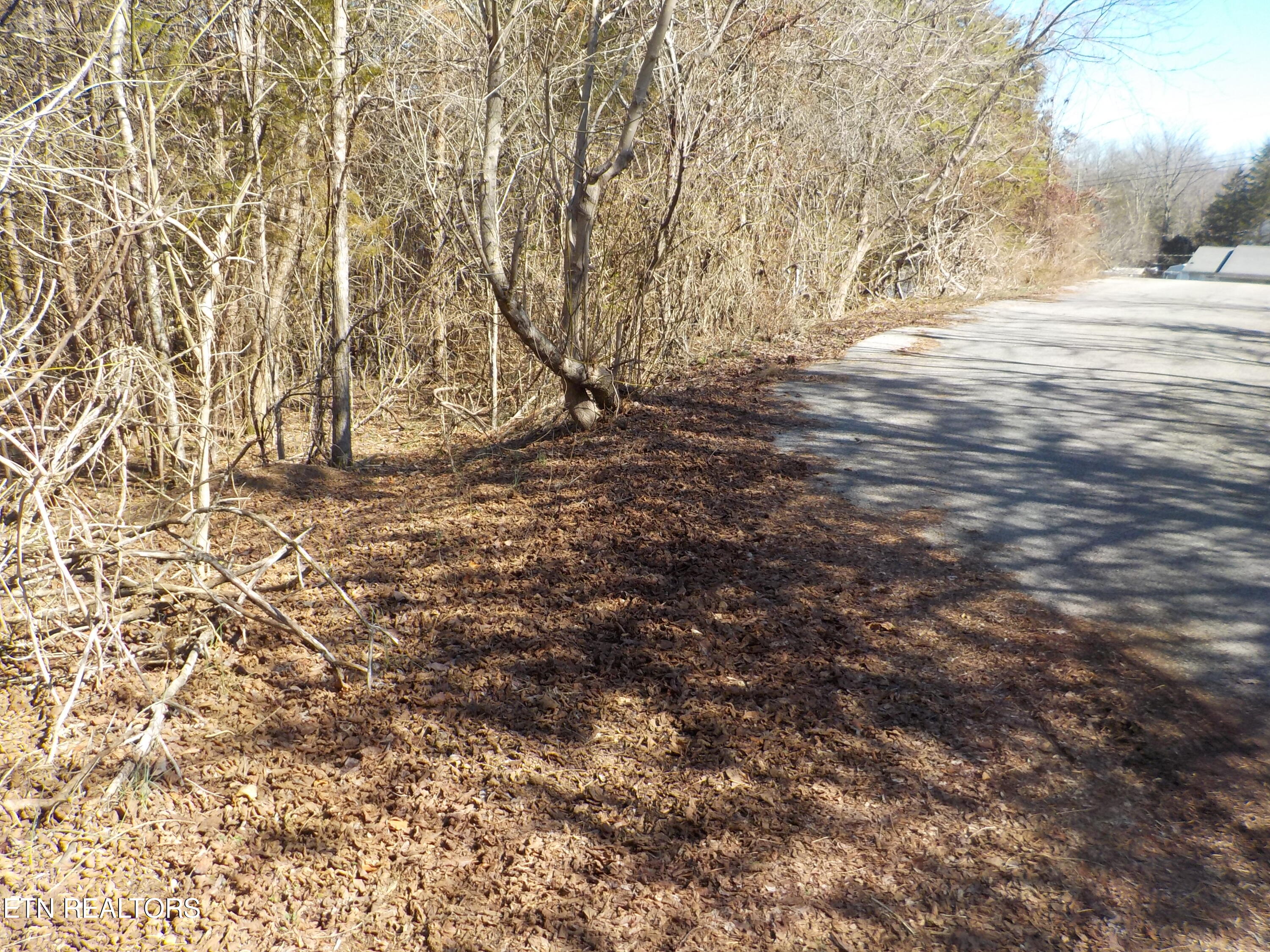 Kicking True Way Bean Station, TN 37708 - Photo 6 of 13 DSCN3201