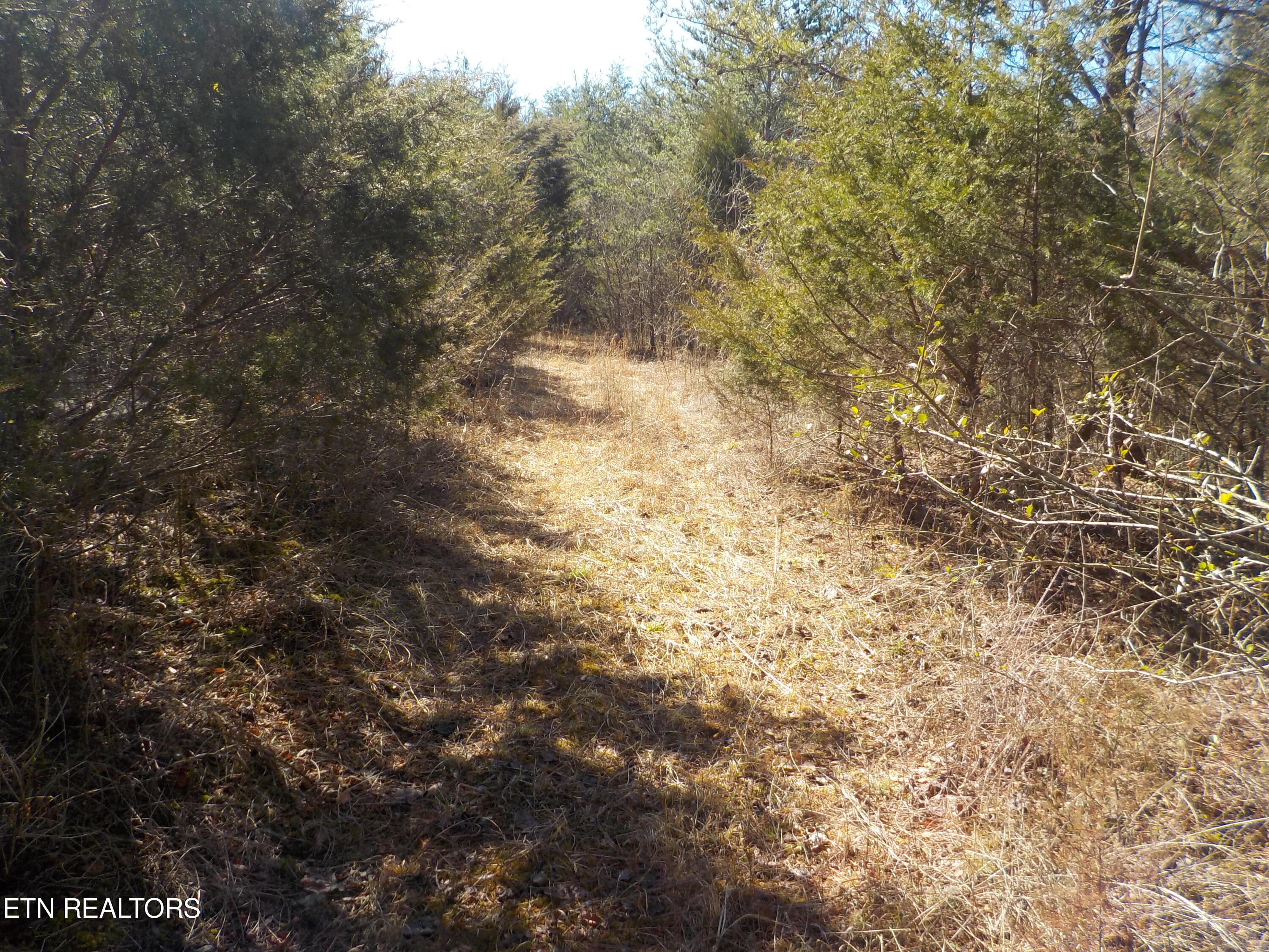 Kicking True Way Bean Station, TN 37708 - Photo 7 of 13 DSCN3196