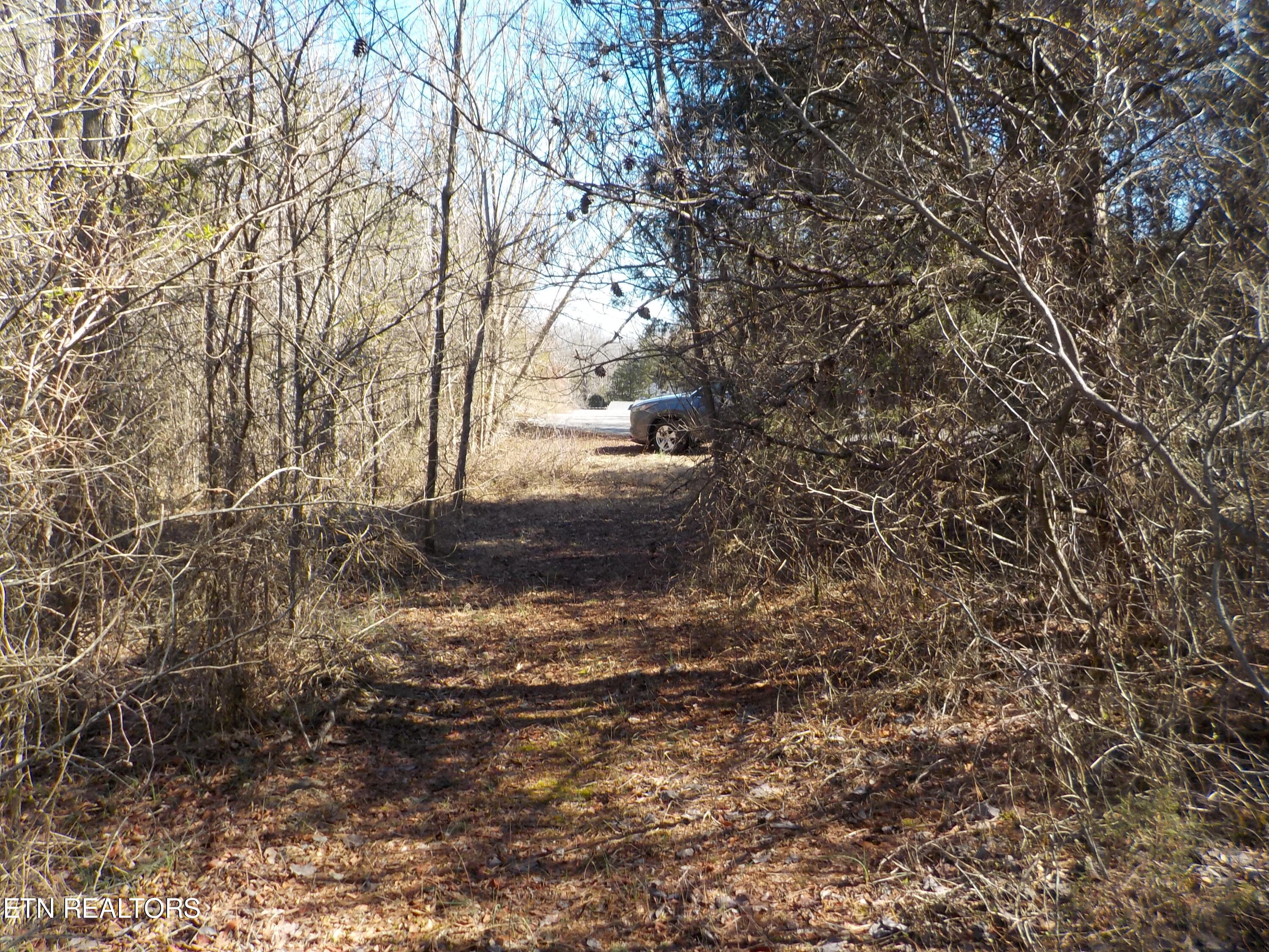 Kicking True Way Bean Station, TN 37708 - Photo 8 of 13 DSCN3195