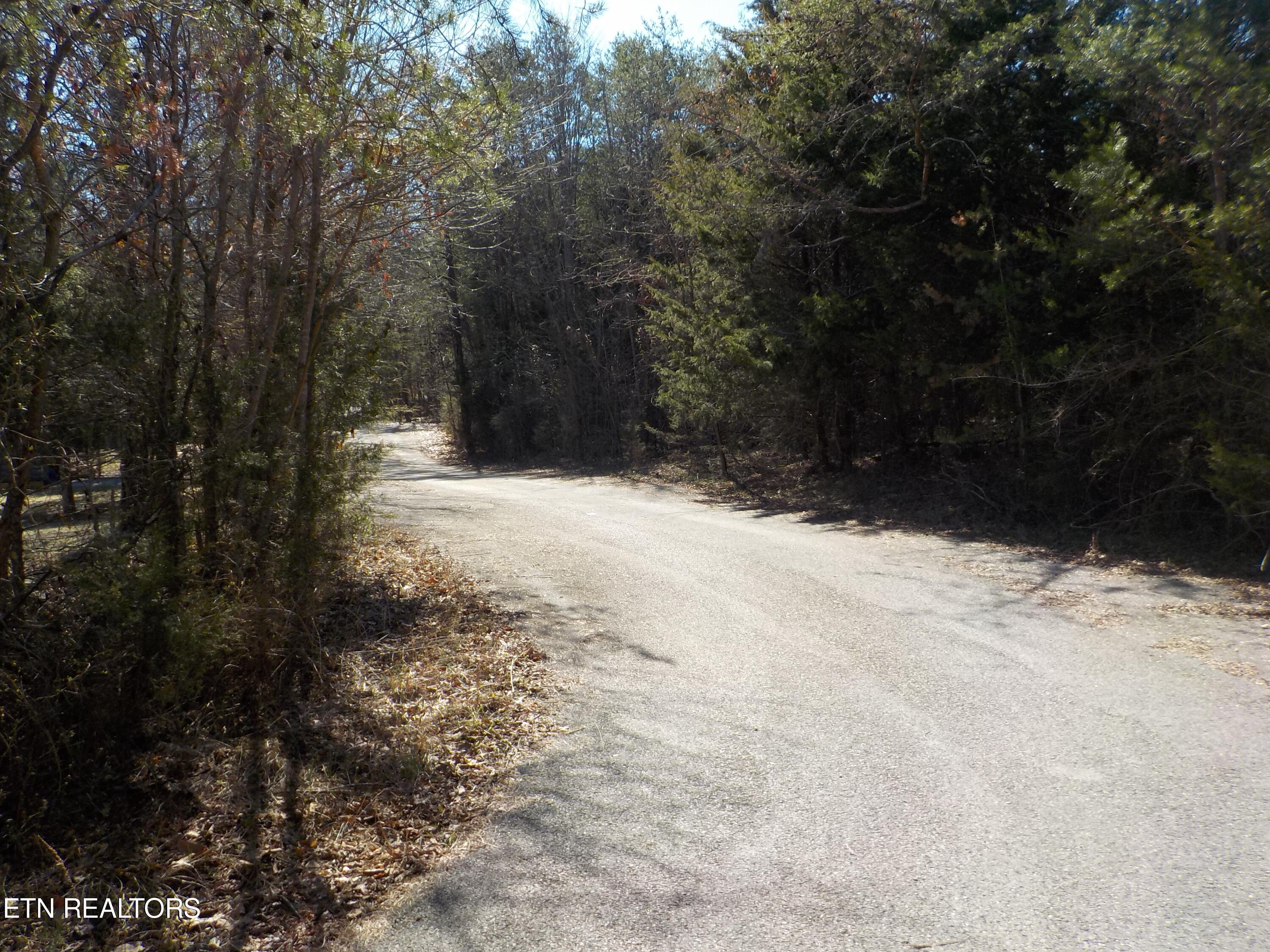 Kicking True Way Bean Station, TN 37708 - Photo 9 of 13 DSCN3202