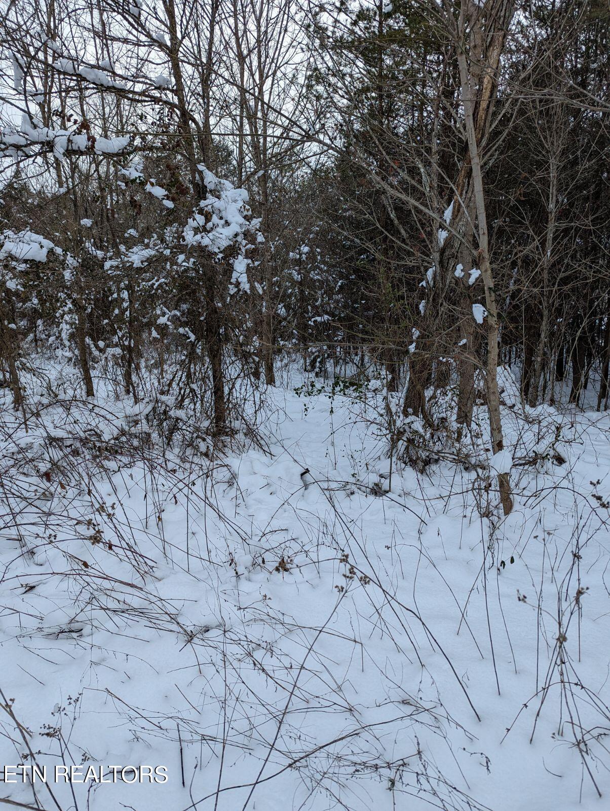 Kicking True Way Bean Station, TN 37708 - Photo 10 of 13 IMG_20240121_183315