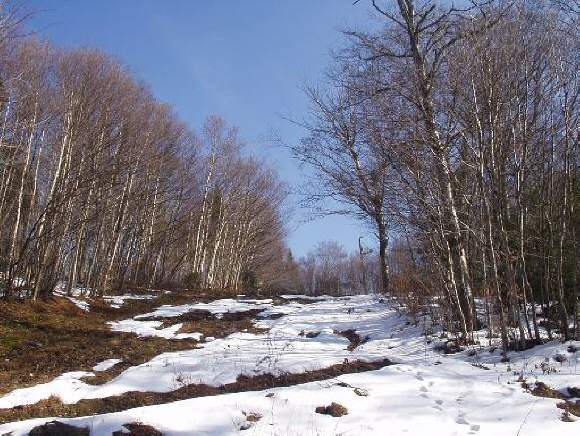 245 Wentworth Road Bolton, VT 05477 - Photo 1 of 1 Gallery Image 1