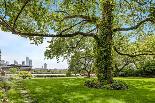 a view of a big yard with a tree