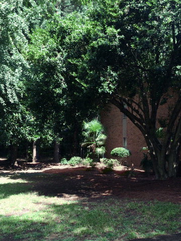 4909 Rivoli Drive Macon, GA 31210 - Photo 11 of 16 Additional Photo