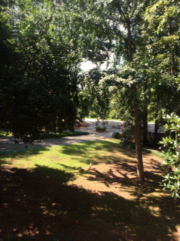 4909 Rivoli Drive Macon, GA 31210 - Photo 13 of 16 Additional Photo