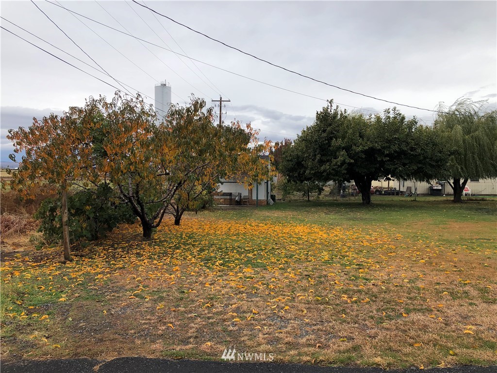 110 Parkhill Road Southwest George, WA 98848 - Photo 3 of 10 Gallery Image 3