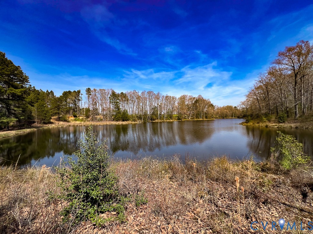 32082 Sparta Road Milford, VA 22514 - Photo 6 of 39 a view of a lake with a city