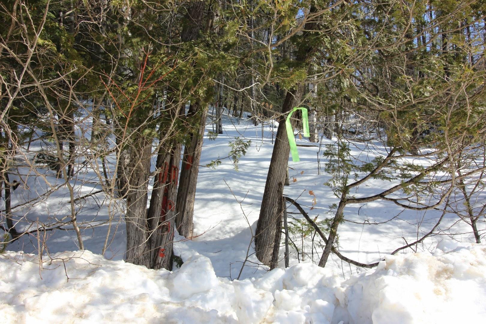 Tbd Martin Road Rumford, ME 04276 - Photo 18 of 28 IMG_7843_1620x1080
