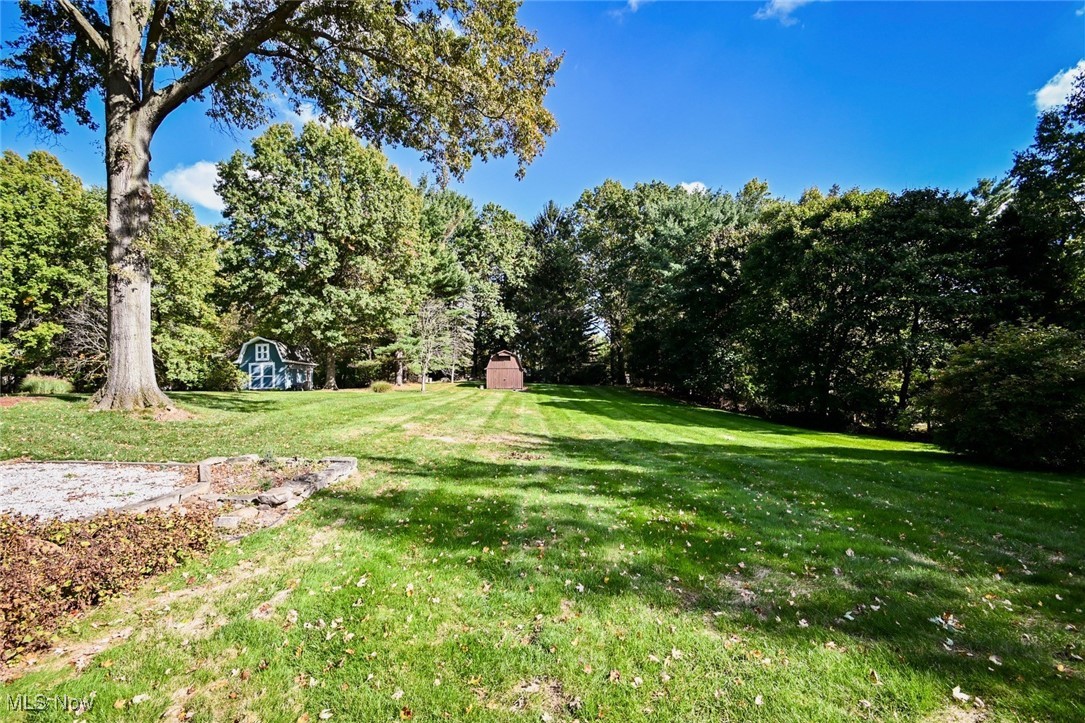 5653 Dailey Road New Franklin, OH 44319 - Photo 3 of 24 View of yard featuring a storage shed