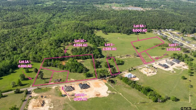 a view of a flower in a garden