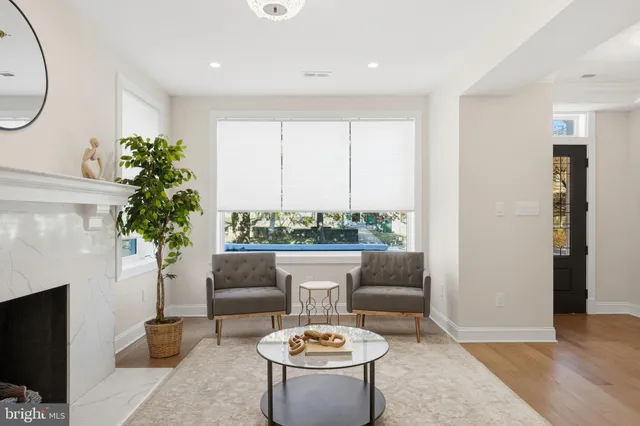 a living room with furniture a potted plant and a fireplace