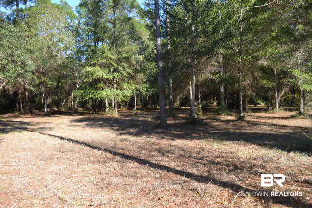 29409 Archie Road Elberta, AL 36530 - Photo 5 of 20 Beautiful woods