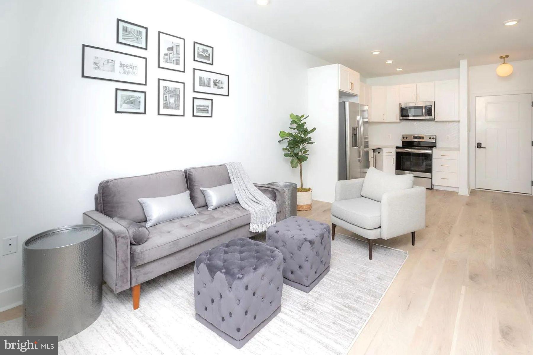 1702 Light Street, Unit 203 Baltimore, MD 21230 - Photo 2 of 14 a living room with furniture and a couch