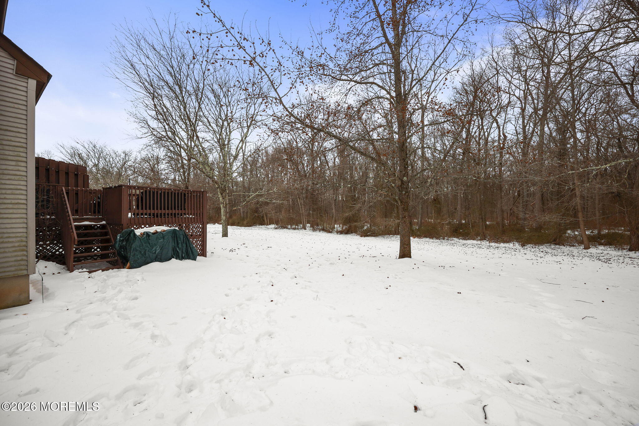31 Atrium Way, Unit 31 Manalapan, NJ 07726 - Photo 28 of 34 a view of snow covered with snow
