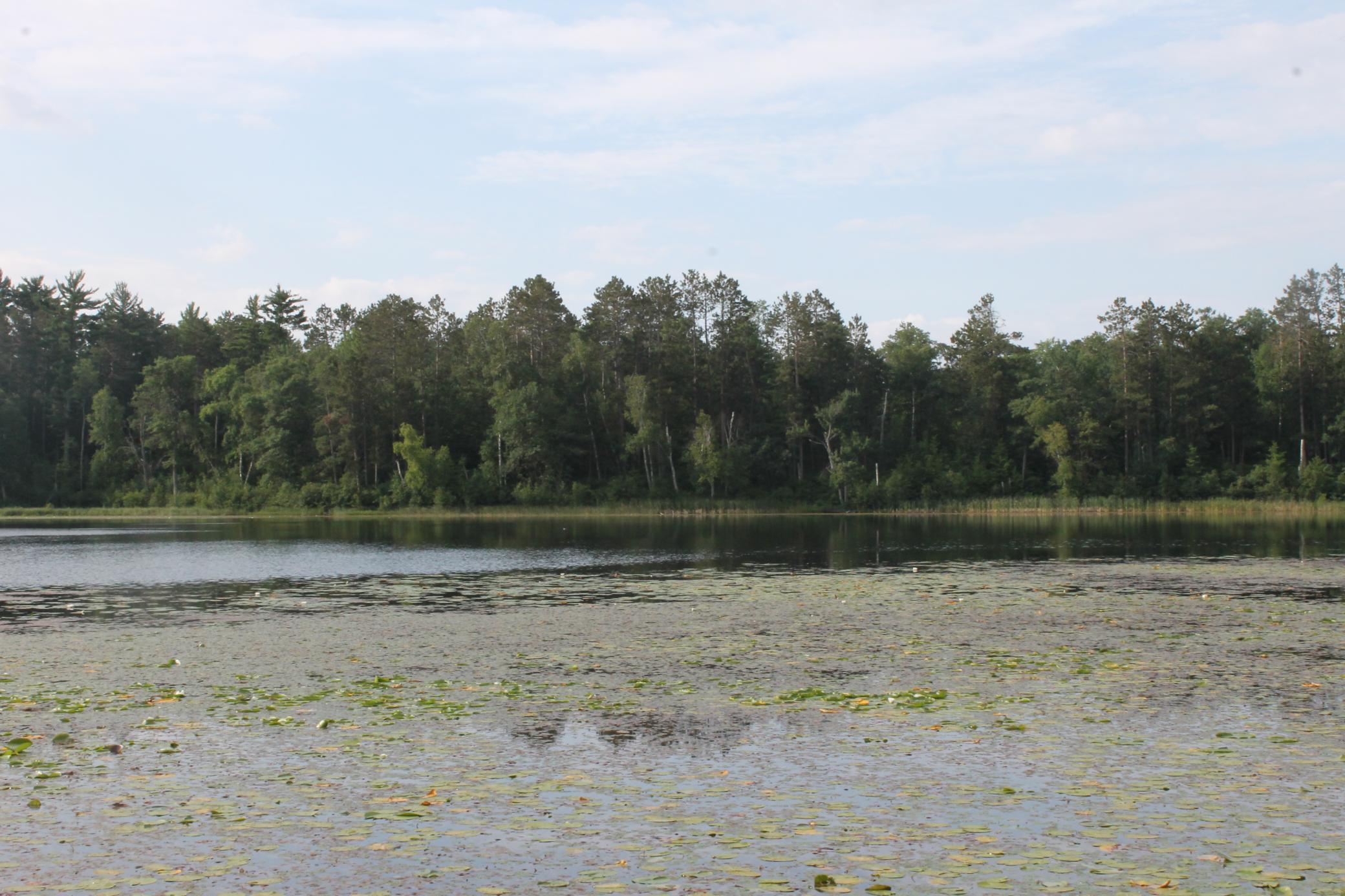 Tbd Hidden Lake Road Nisswa, MN 56468 - Photo 1 of 1 Gallery Image 1