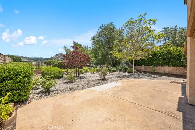 a view of a yard with potted plants