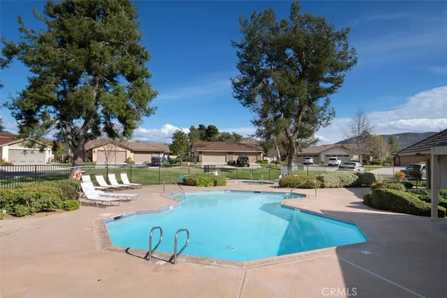 a view of a swimming pool with a patio and a garden