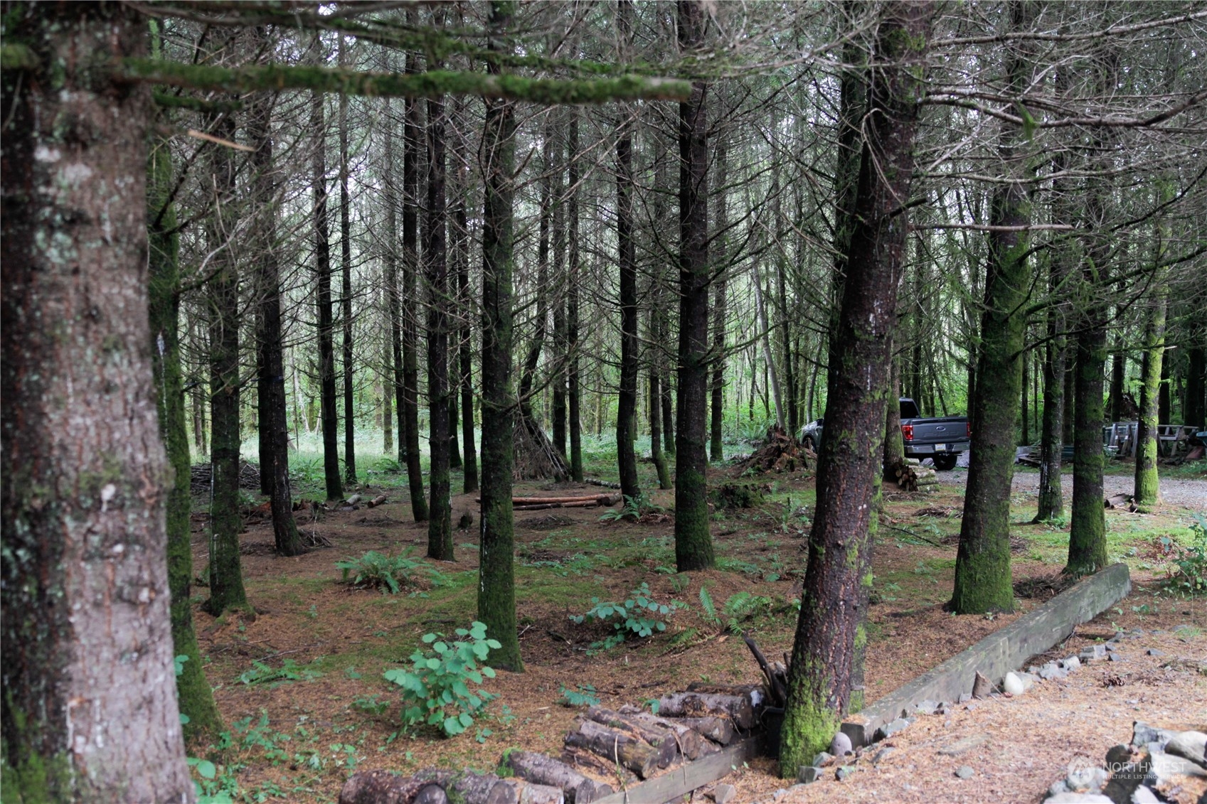 120 Swindler Road Winlock, WA 98596 - Photo 27 of 37 a view of a forest