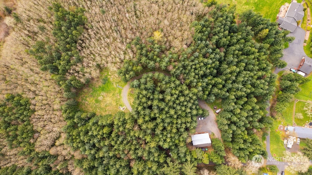 120 Swindler Road Winlock, WA 98596 - Photo 34 of 37 a picture of a tree