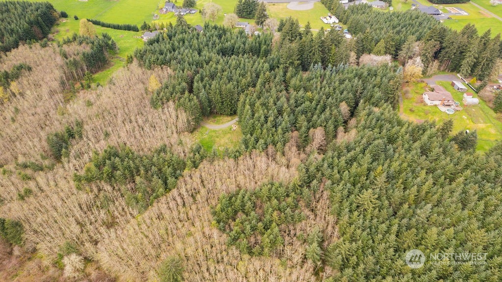 120 Swindler Road Winlock, WA 98596 - Photo 36 of 37 a view of a yard