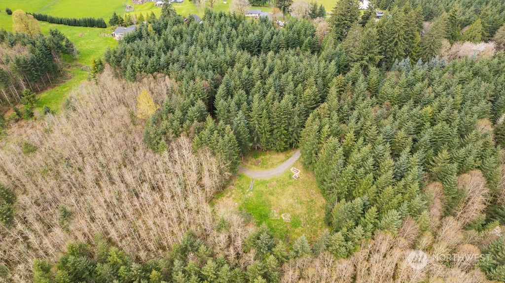 120 Swindler Road Winlock, WA 98596 - Photo 37 of 37 a view of a yard