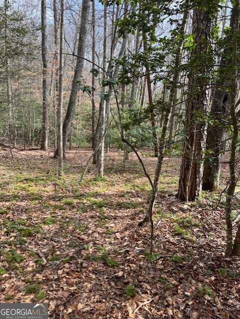 0 Pit Road Blairsville, GA 30512 - Photo 1 of 1 Gallery Image 1