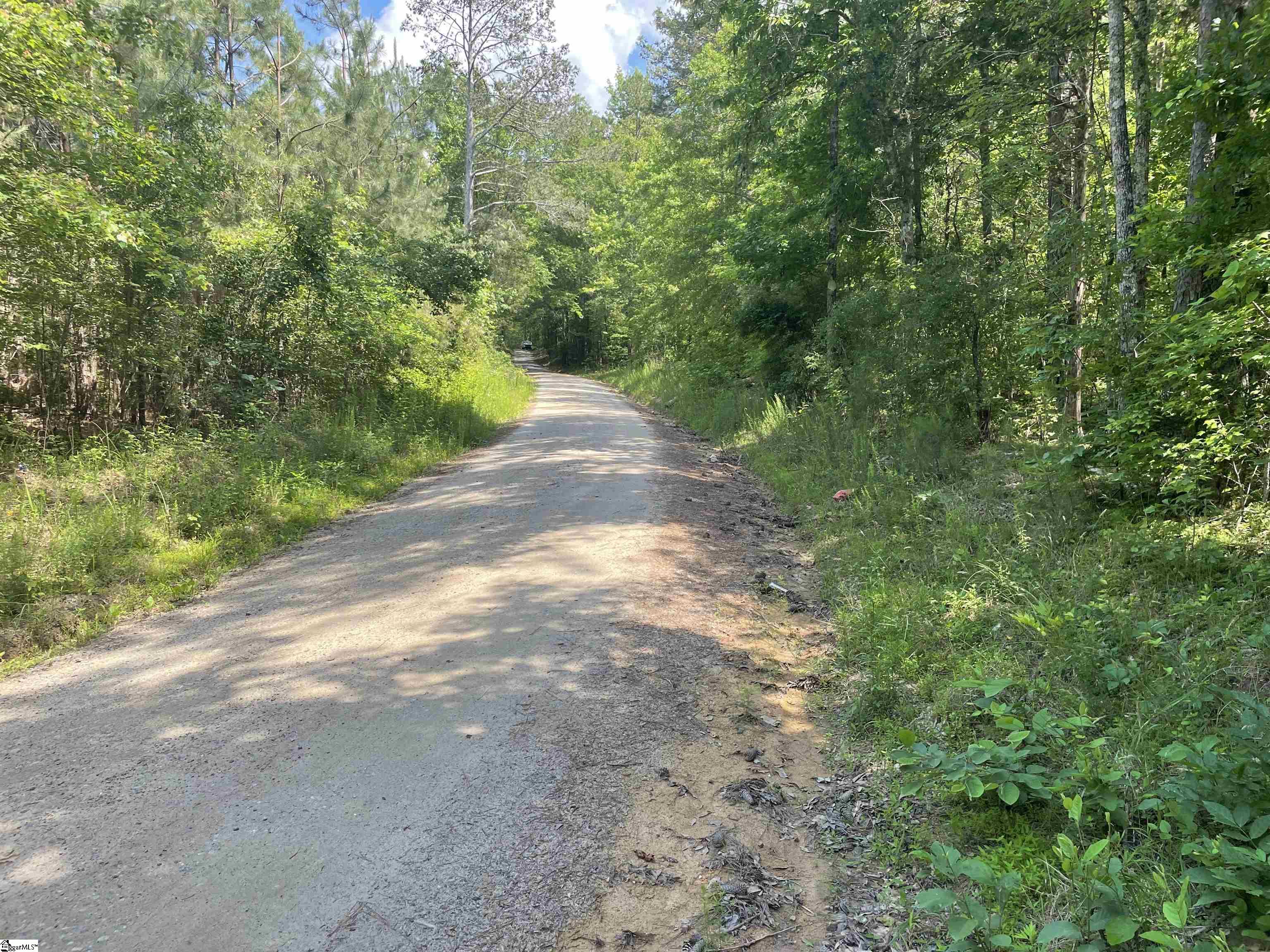 0 Clatworthy Road Honea Path, SC 29654 - Photo 12 of 25