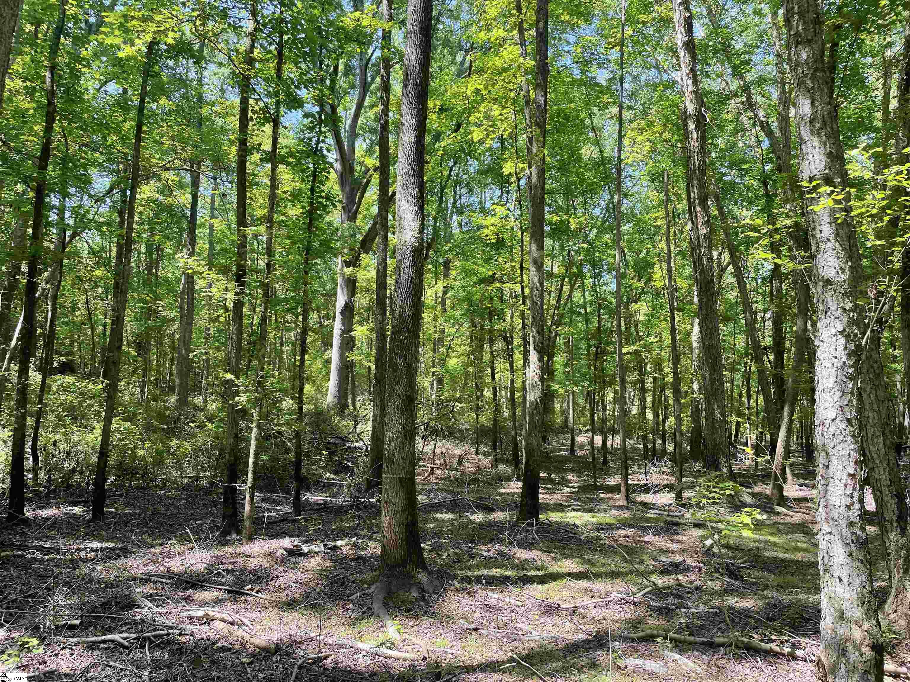 0 Clatworthy Road Honea Path, SC 29654 - Photo 14 of 25