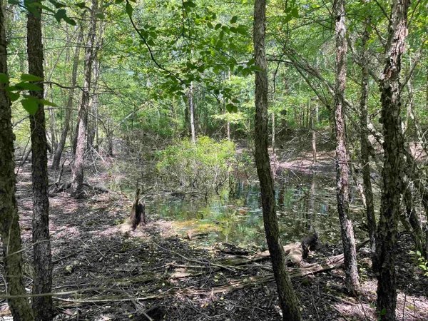 $119,500 | 0 Clatworthy Road, Honea Path, SC 29654