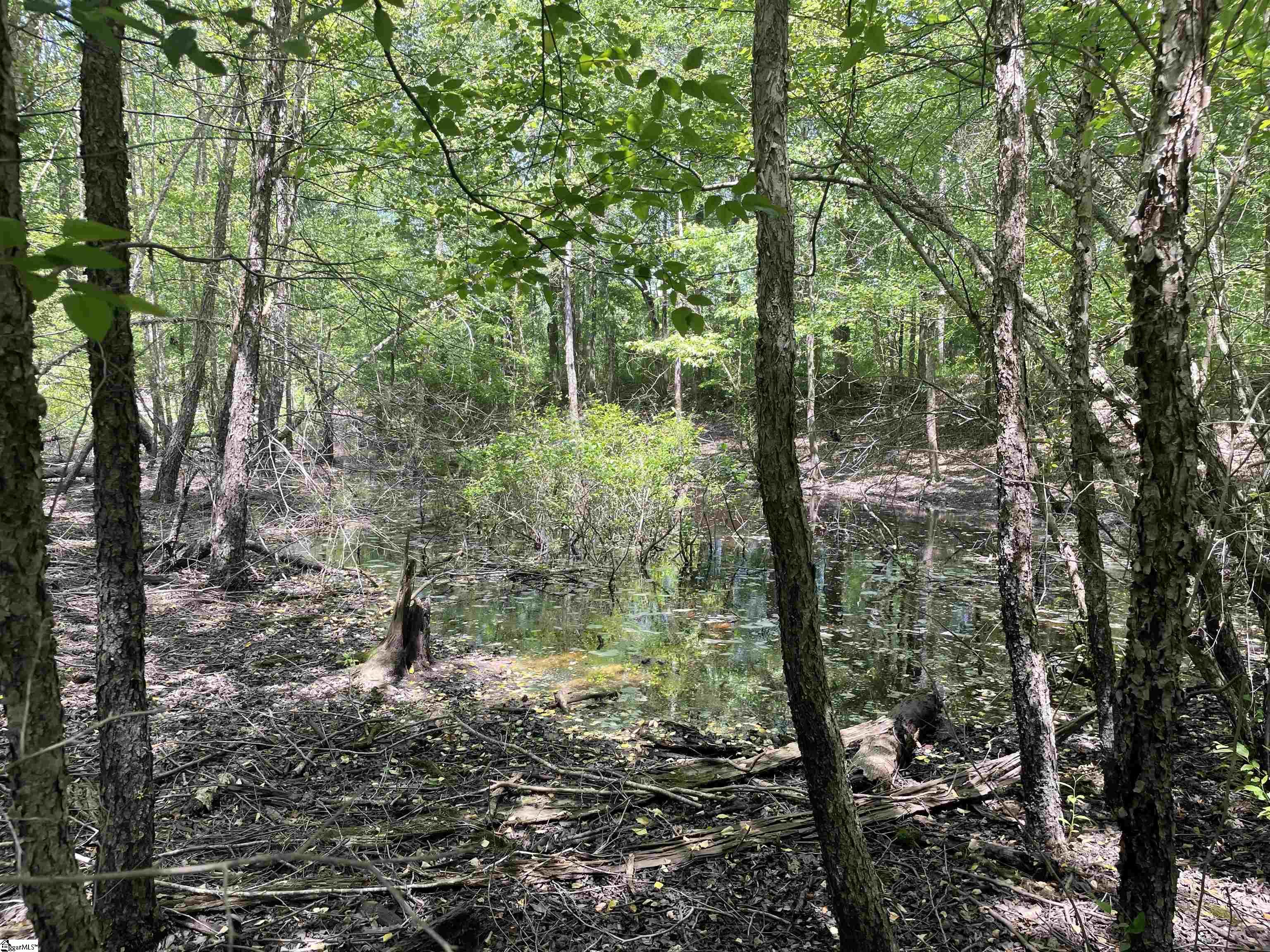 0 Clatworthy Road Honea Path, SC 29654 - Photo 19 of 25