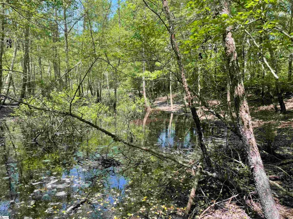 $119,500 | 0 Clatworthy Road, Honea Path, SC 29654