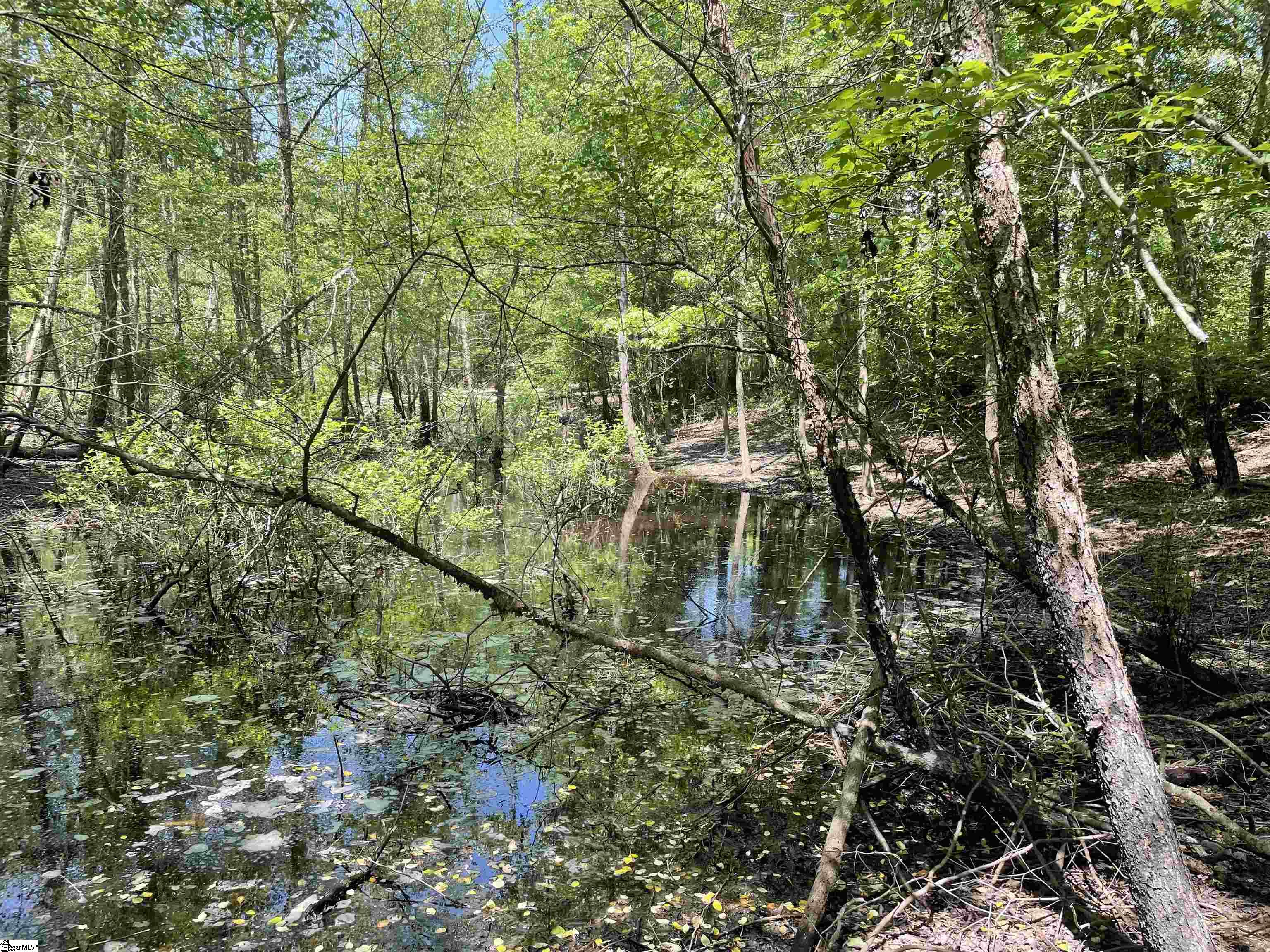 0 Clatworthy Road Honea Path, SC 29654 - Photo 20 of 25