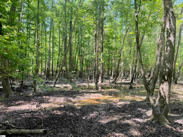 $119,500 | 0 Clatworthy Road, Honea Path, SC 29654