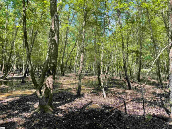 $119,500 | 0 Clatworthy Road, Honea Path, SC 29654