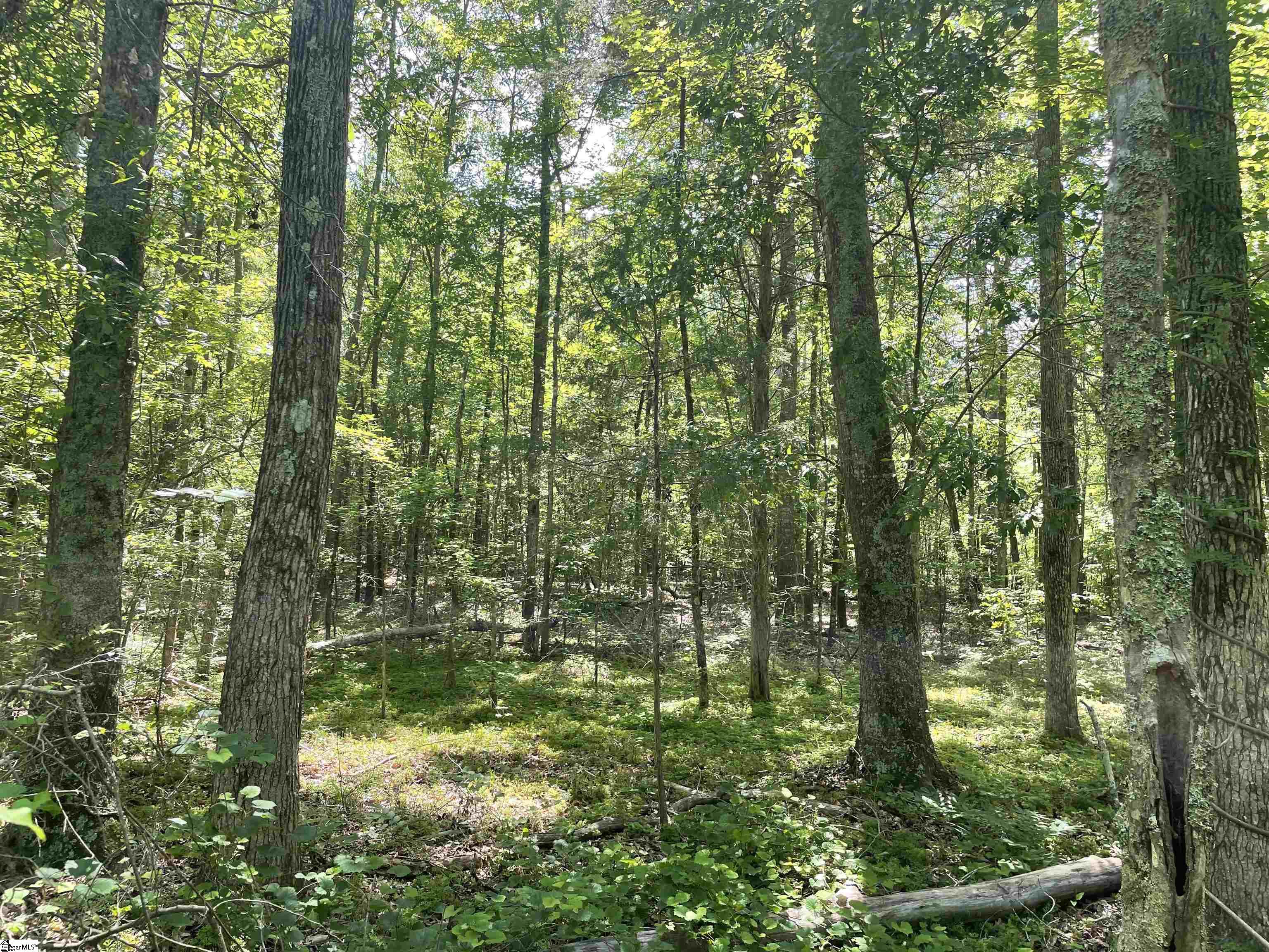 0 Clatworthy Road Honea Path, SC 29654 - Photo 4 of 25