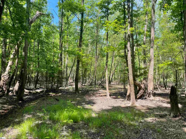 $119,500 | 0 Clatworthy Road, Honea Path, SC 29654