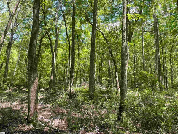 $119,500 | 0 Clatworthy Road, Honea Path, SC 29654