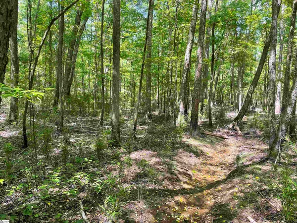 $119,500 | 0 Clatworthy Road, Honea Path, SC 29654