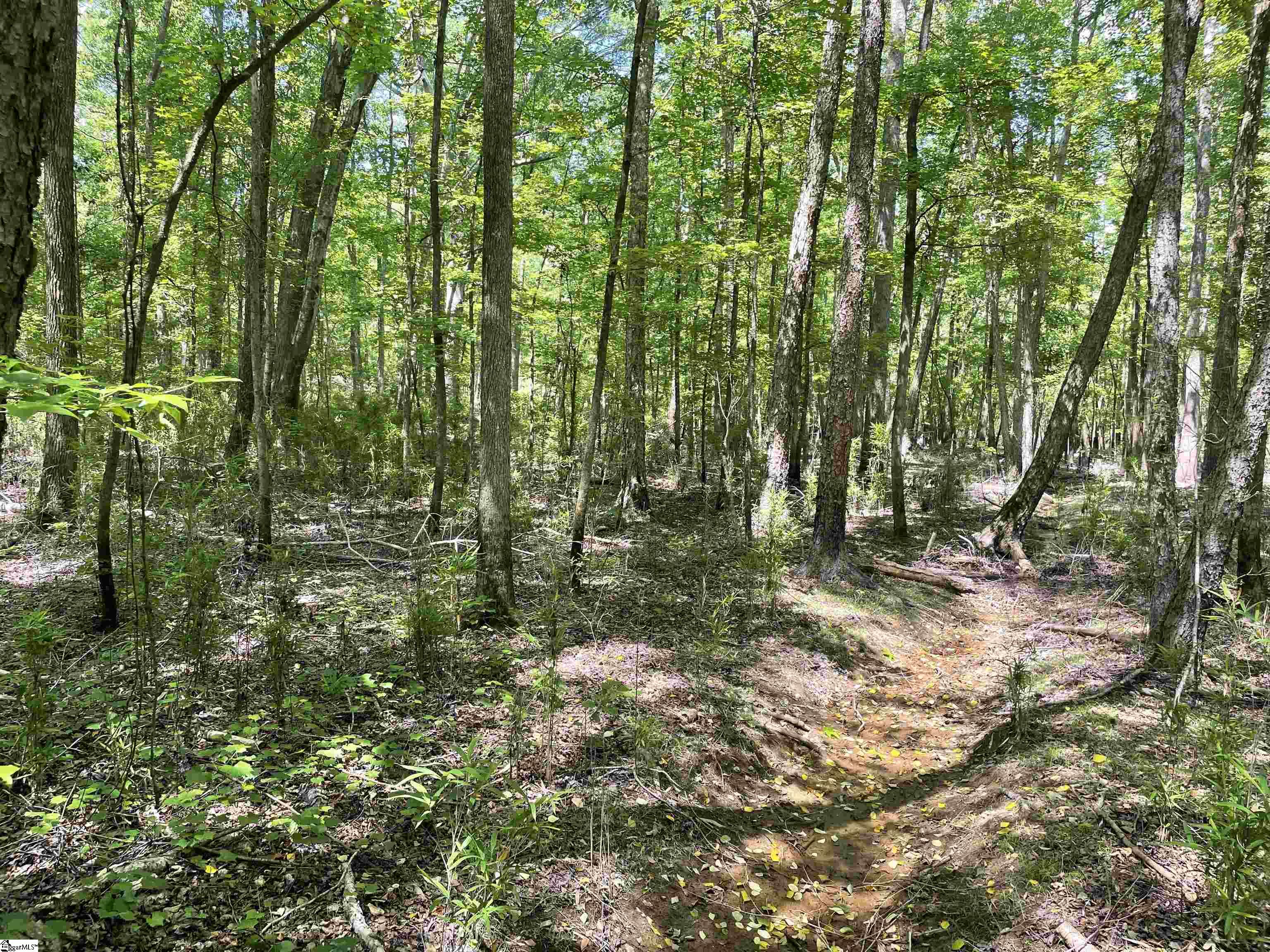 0 Clatworthy Road Honea Path, SC 29654 - Photo 7 of 25