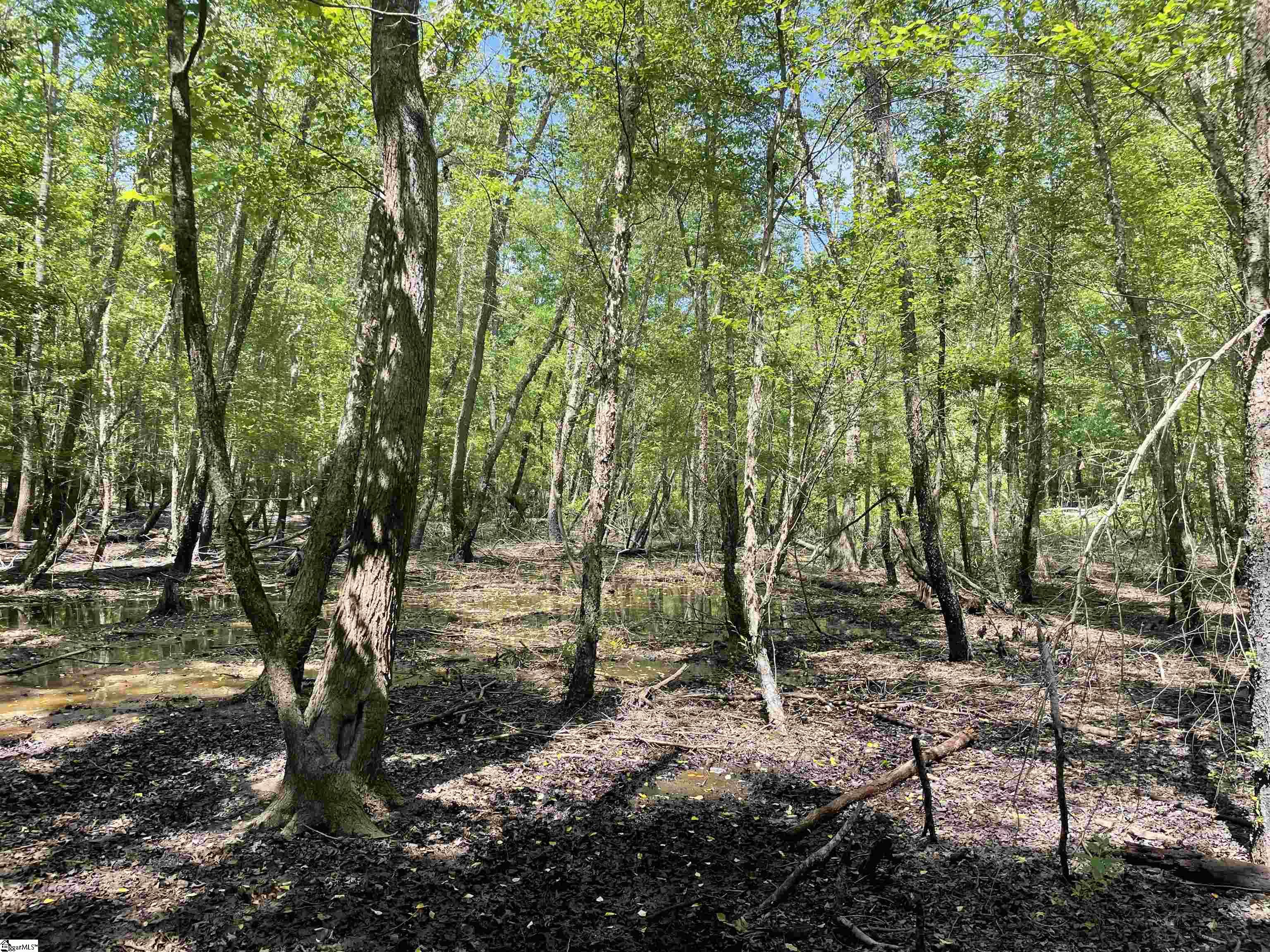 0 Clatworthy Road Honea Path, SC 29654 - Photo 8 of 25