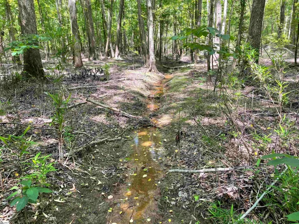 $119,500 | 0 Clatworthy Road, Honea Path, SC 29654